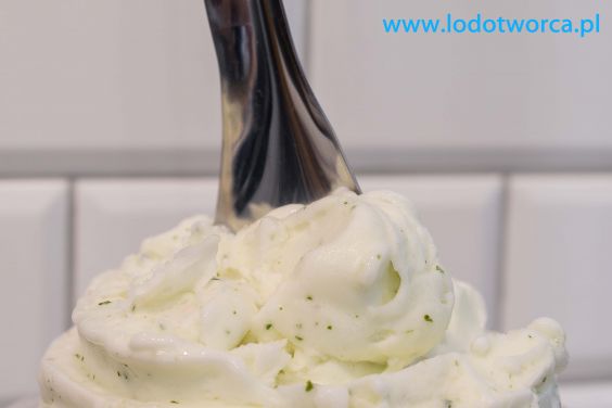 Wyśmienite lody Rzeszów
