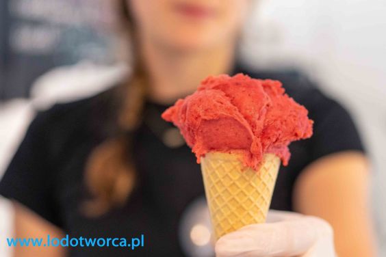 Lody Rzeszów najdoskonalsza lodziarnia