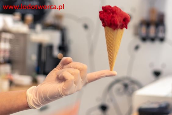 Lody Rzeszów najatrakcyjniejsza lodziarnia