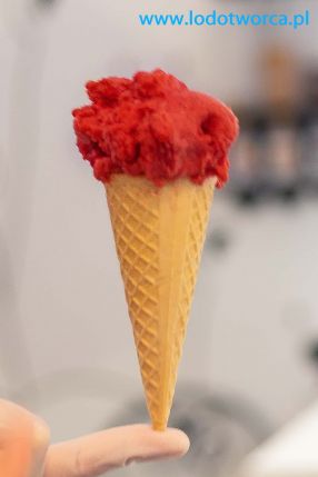 Lody Rzeszów najwspanialsza lodziarnia