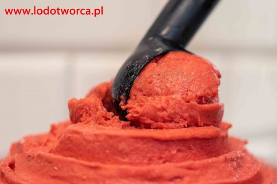 Lody Rzeszów najzdrowsza lodziarnia